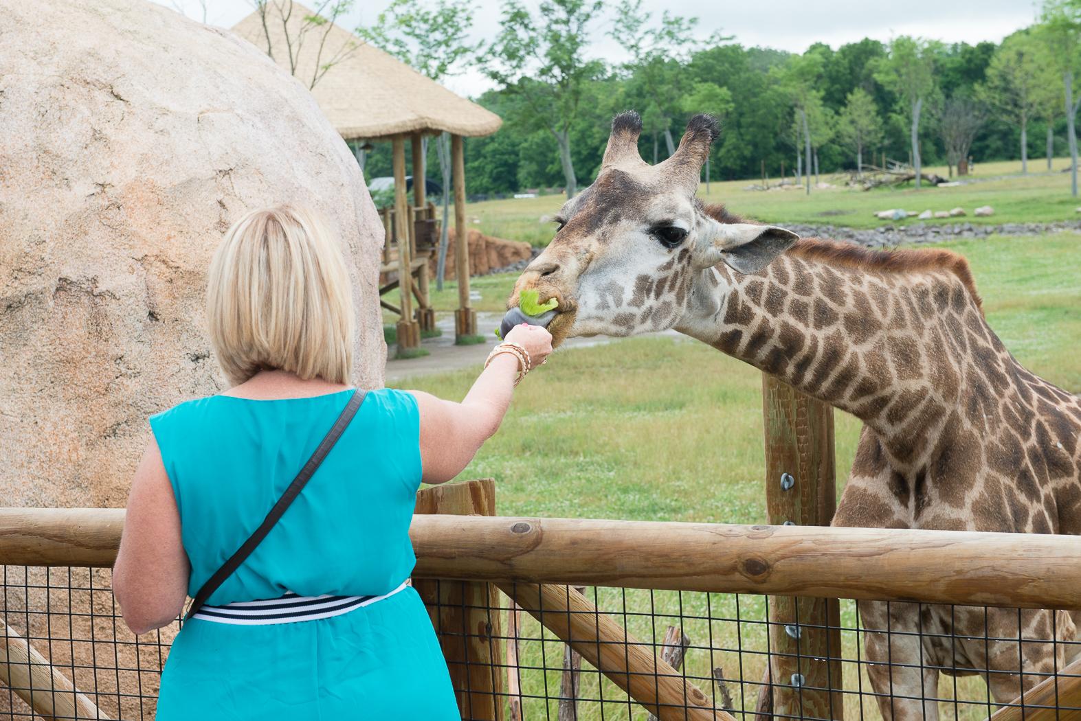 Zoofari Columbus Zoo and Aquarium